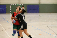 1_damen_vs_hsg_schwerte-westhofen_ii_10_20180304_1924896451