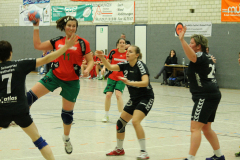 1_damen_vs_hsg_schwerte-westhofen_ii_13_20180304_1128721983