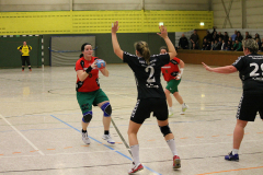 1_damen_vs_hsg_schwerte-westhofen_ii_6_20180304_1120936733