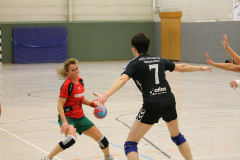 1_damen_vs_hsg_schwerte-westhofen_ii_8_20180304_1943438011