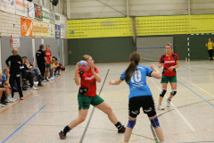 1_damen_vs_sg_tura_halden-herbeck_ii_101_20180304_1033867287