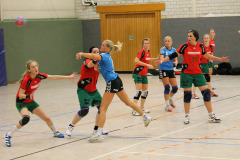 1_damen_vs_sg_tura_halden-herbeck_ii_13_20180304_1733031723