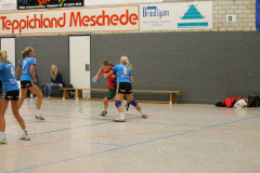 1_damen_vs_sg_tura_halden-herbeck_ii_18_20180304_1584668338