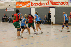 1_damen_vs_sg_tura_halden-herbeck_ii_29_20180304_1023690462