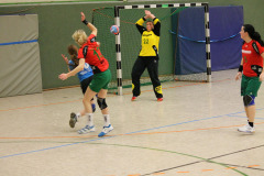 1_damen_vs_sg_tura_halden-herbeck_ii_30_20180304_1594824255