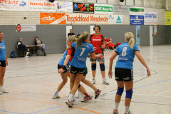 1_damen_vs_sg_tura_halden-herbeck_ii_38_20180304_2044910056