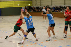 1_damen_vs_sg_tura_halden-herbeck_ii_48_20180304_1150866257