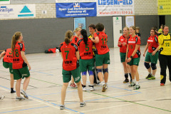 1_damen_vs_sg_tura_halden-herbeck_ii_49_20180304_1733380789