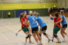 1_damen_vs_sg_tura_halden-herbeck_ii_51_20180304_1241677926