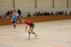 1_damen_vs_sg_tura_halden-herbeck_ii_54_20180304_1742004609