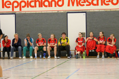 1_damen_vs_sg_tura_halden-herbeck_ii_55_20180304_1842213338