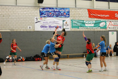 1_damen_vs_sg_tura_halden-herbeck_ii_63_20180304_2065402103