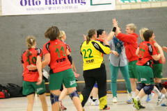 1_damen_vs_sg_tura_halden-herbeck_ii_64_20180304_1097567224