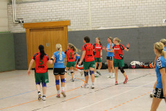 1_damen_vs_sg_tura_halden-herbeck_ii_65_20180304_1971781256