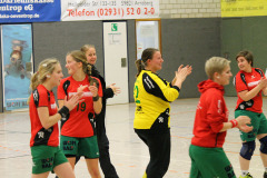 1_damen_vs_sg_tura_halden-herbeck_ii_71_20180304_1795121665