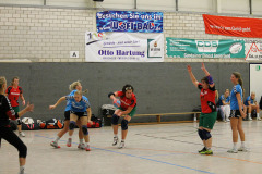 1_damen_vs_sg_tura_halden-herbeck_ii_83_20180304_1952034018