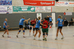 1_damen_vs_sg_tura_halden-herbeck_ii_93_20180304_2049201798