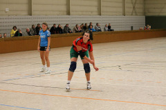 1_damen_vs_sg_tura_halden-herbeck_ii_96_20180304_1971749900