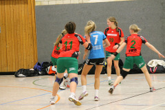 1_damen_vs_sg_tura_halden-herbeck_ii_97_20180304_1694143568