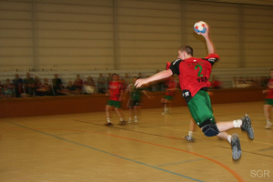 1. Herren 2011