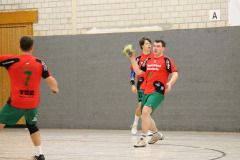1_herren_vs_tv_arnsberg_ii_16_20180304_1250966888