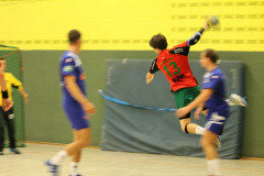 1_herren_vs_tv_arnsberg_ii_24_20180304_1432688653