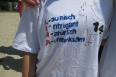 beachhandball-cup_2010_303_20180304_1353546982