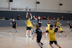 P1050981