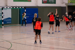 P1060233