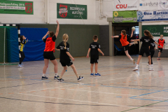 P1060265