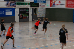 P1060593