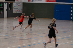 P1060594