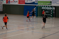 P1060599