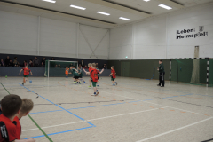 minispielfest_13_20180322_1468249023