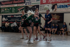 P1080956-2