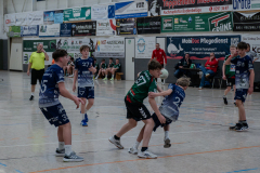 P1100361