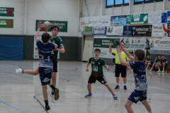 P1100366