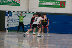 20251115-P1060669
