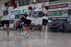 20251115-P1060710