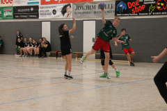 weihnachtsspecial_219_20180304_1125720527