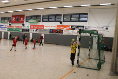 weihnachtsspecial_50_20180304_1103448434